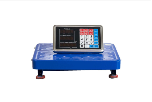 [11509] GRAMERA DIGITAL 200 KL BLUETOOHT INDUSTRIAL PLATAFORMA CON LECTOR LED (30X40) (HT80291)